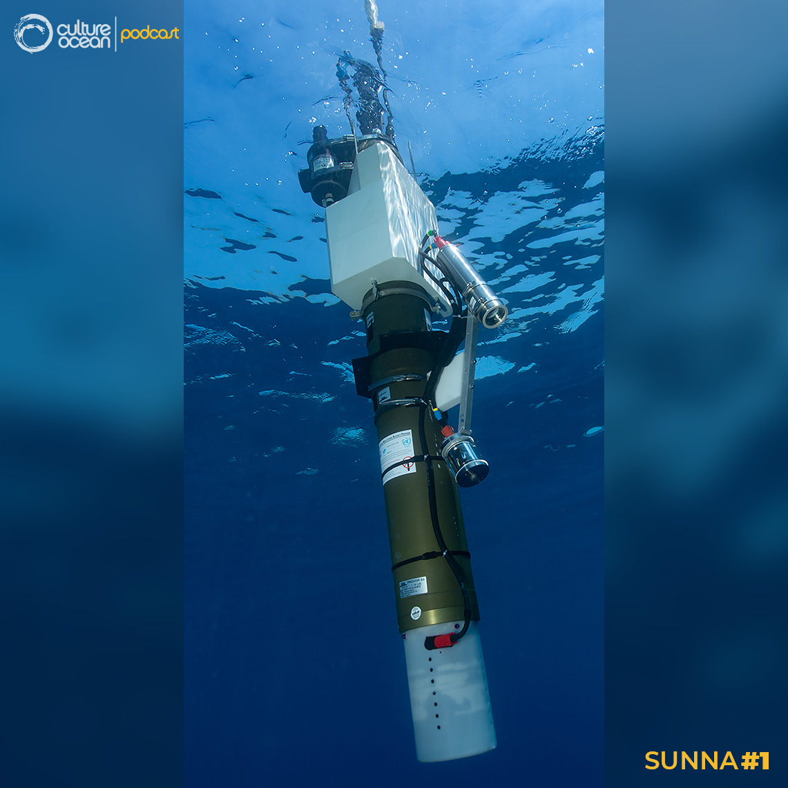 Sunna #1 - Sunna : Flotteur profileur Biogéochimique-Argo à la surface de l’eau.
