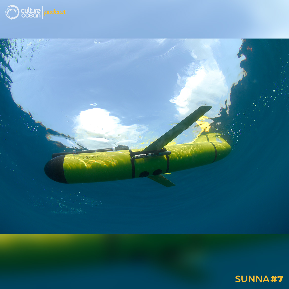 Sunna #7 - Un glider est un planeur sous-marin équipé pour effectuer des mesures océanographiques. Il est dépourvu de moteur et généralement en forme de torpille. A la différence du flotteur, il peut se déplacer contre les courants et suivre une trajectoire donnée. Photo : ©David Luquet - Hervé CLAUSTRE /IMEV, Planeur sous-marin bio-optique (glider)